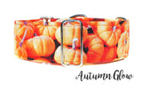 Pumpkin Spice Halloween Dog Collar