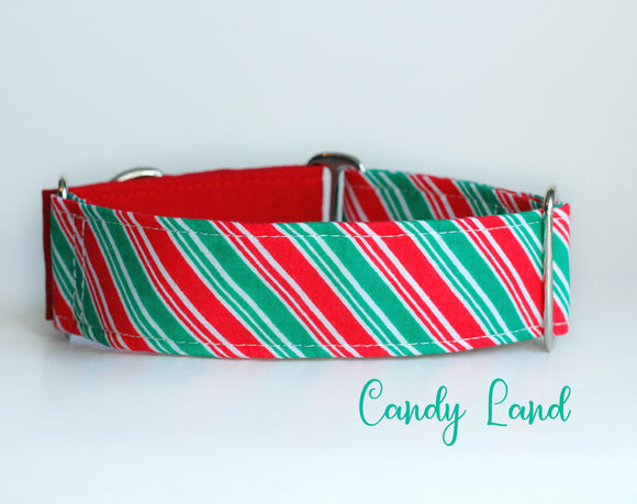 Two Tone Candy Cane Martingale Dog Collar - Ship Ready, 1.5