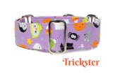 Purple Halloween Glow in the Dark Dog Collar