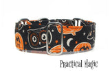 Pumpkins and Magic Dog Collar