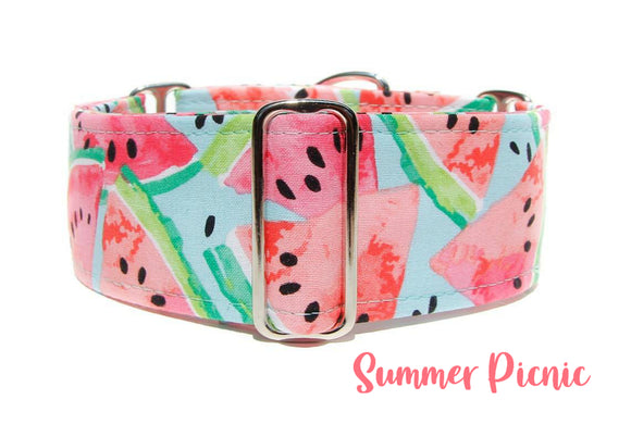 2 Inch Wide Summer Watermelon Martingale Dog Collar, Ready to Ship, Size Large 13-17