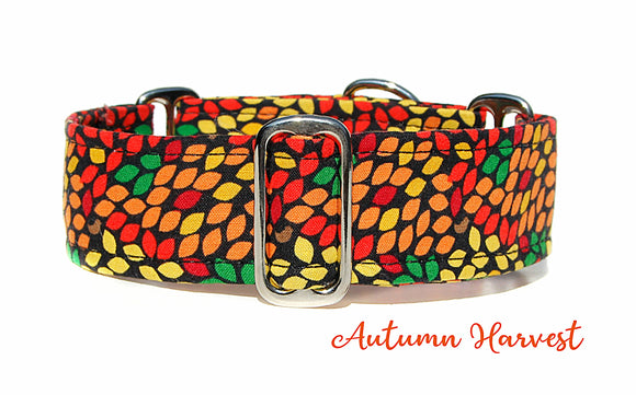 Fall Leaves Colorful Dog Collar