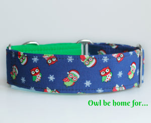 Cute Owls Two Tone Martingale Dog Collar - Ship Ready, 1.5" Wide, Size Large 13-17"