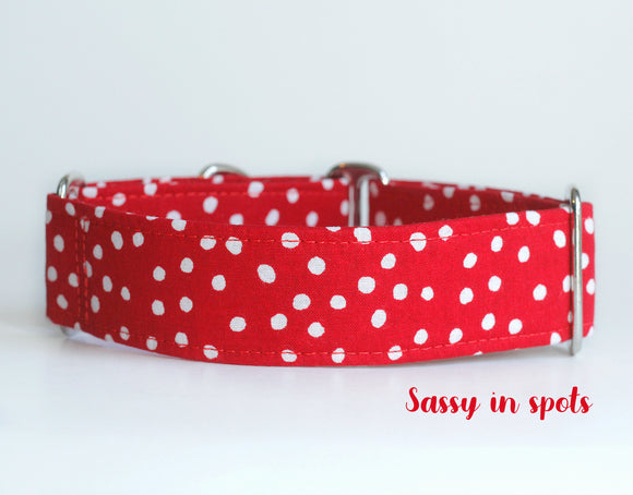 Red Polka Dots Dog Collar