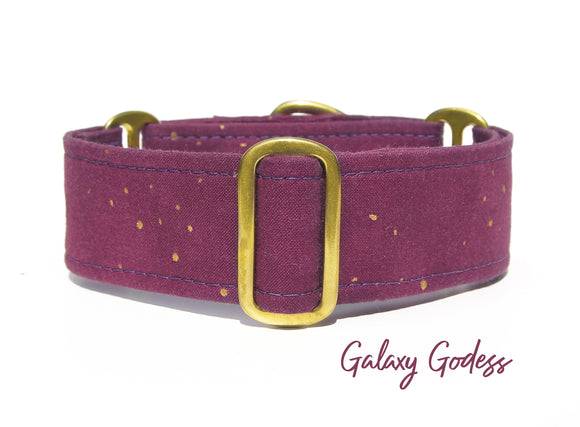 2 Inch Purple and Gold Martingale Dog Collar, Ready to Ship, Size Large 13-17