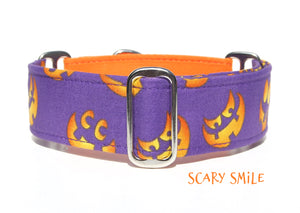 Purple Jack-o-lantern Pumpkin Dog Collar - Half and Half Martingale Design