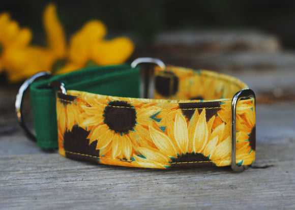 Yellow Sunflowers Floral Dog Collar