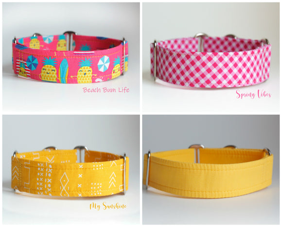 1.5 Inch Martingale Collars Ready to Ship - Your Choice!