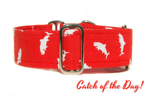 Red Fish / Shark Martingale Dog Collar, 1.5" Wide Ready to Ship, Size Large 13-17"