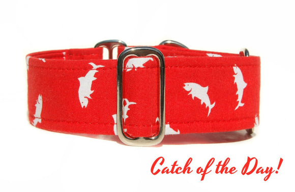 Red Fish / Shark Martingale Dog Collar, 1.5