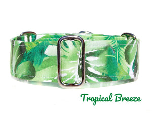Tropical Green Martingale Dog Collar, 1.5" Wide Ready to Ship, Size Large 13-17"